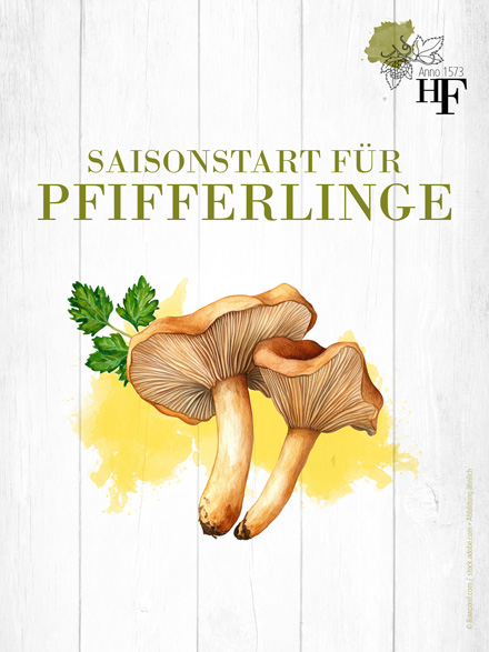 Pfifferlingszeit